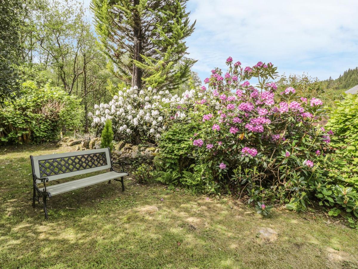 Bron Olau Villa Gellilydan ภายนอก รูปภาพ